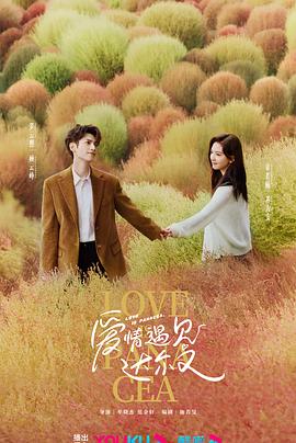 海口网站优化推荐公司